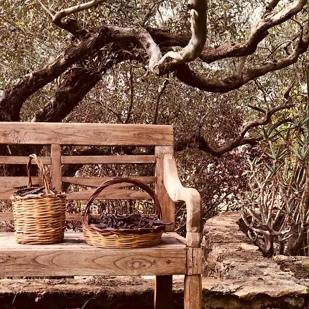 Ashram Villa Castelvetrano